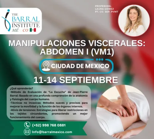 Manipulaciones Viscerales 1 - CDMX